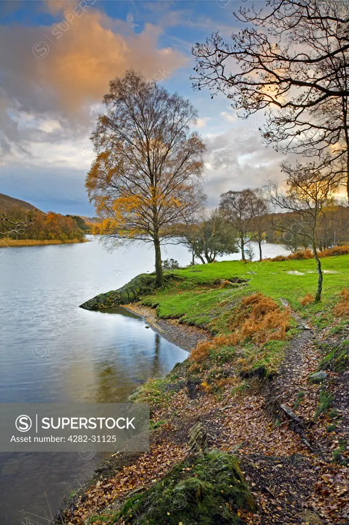 England, Cumbria, Coniston Water. Autumn colours at the southern tip of Coniston Water.