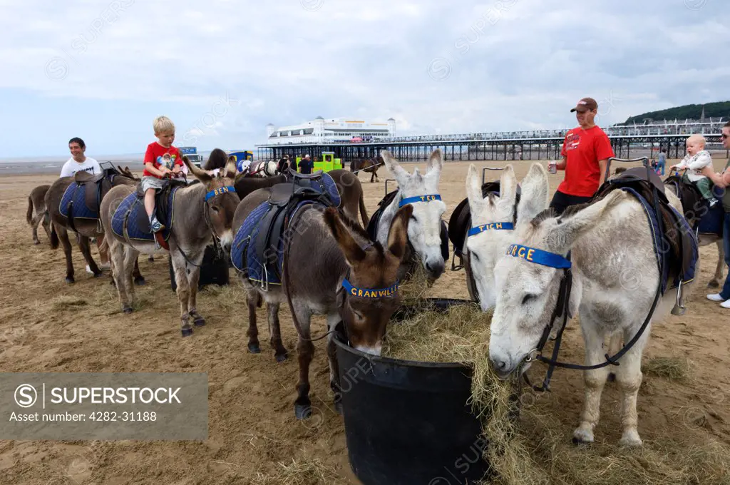 England, Somerset, Weston-Super-Mare. Donkey rides on the beach at Weston-Super-Mare in Somerset.