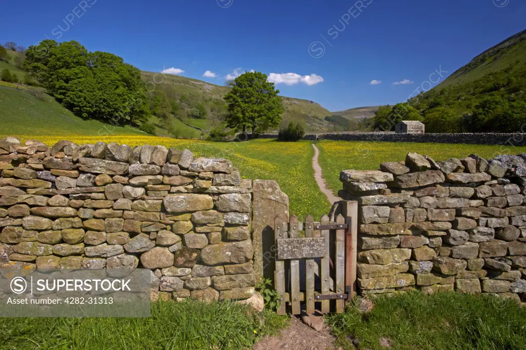 England, North Yorkshire, Muker. Gate leading through drystone wall to early summer buttercup meadows in Swaledale.