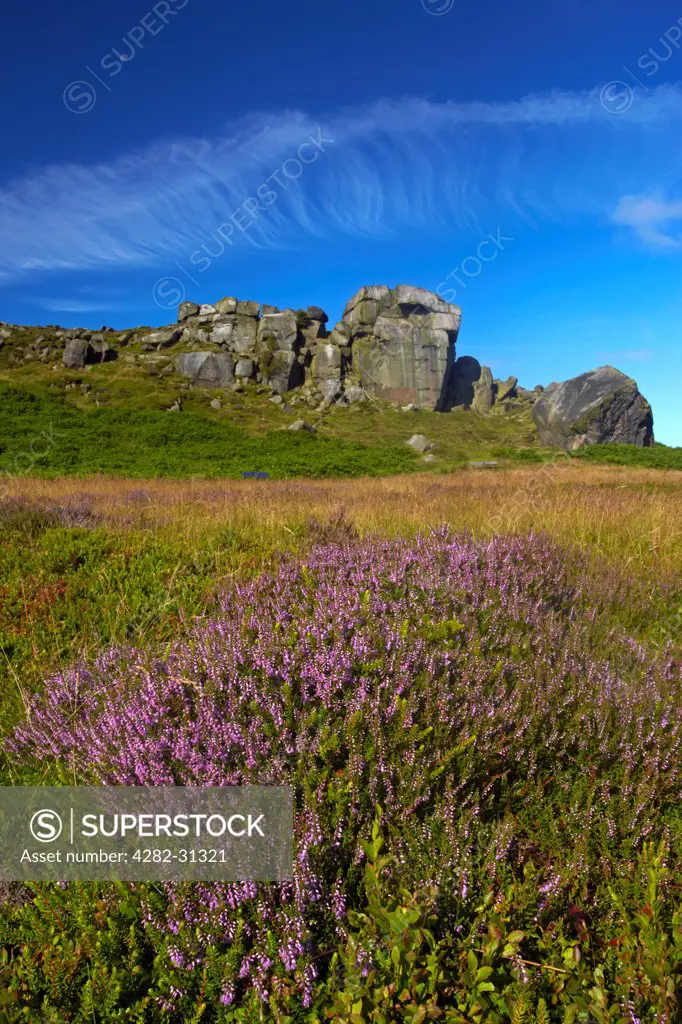 England, West Yorkshire, Ilkley. The Cow and Calf rocks on Ilkley Moor.