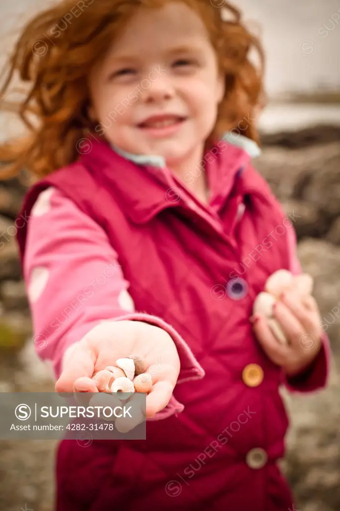 Wales, Anglesey, Trearddur Bay. A young girl holds out her collection of sea shells on a cold day.