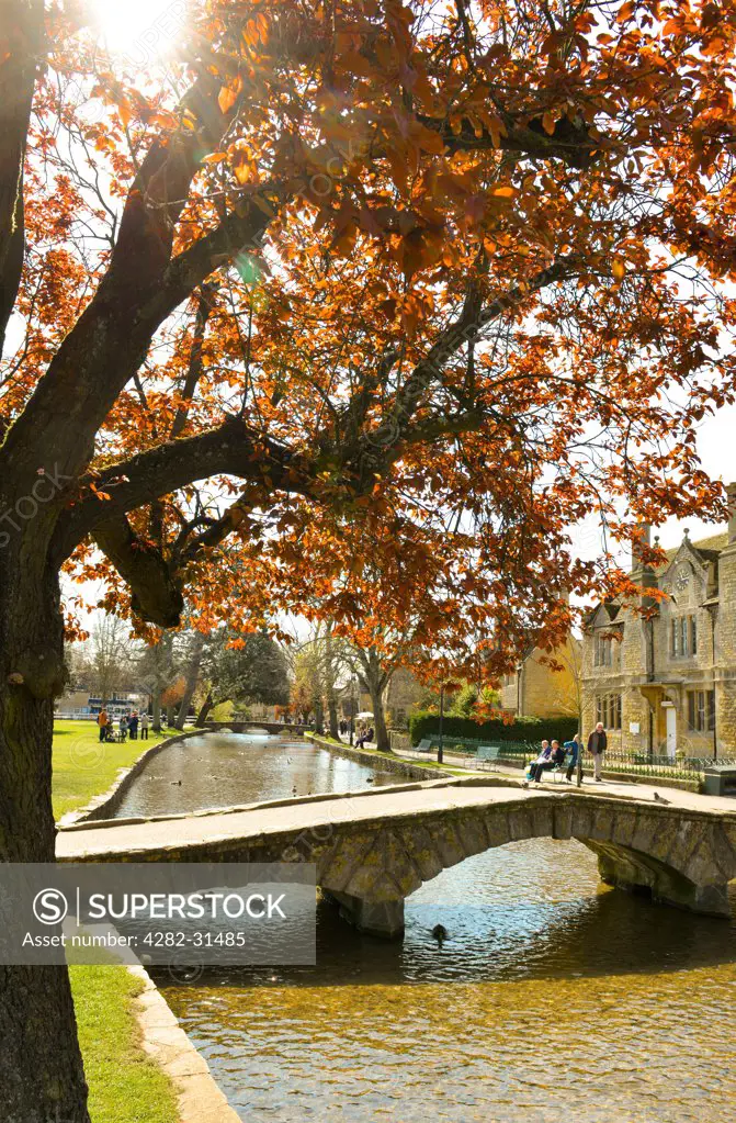 England, Gloucestershire, Bourton-on-the-Water. Sun shines through the trees over the River Windrush in Bourton-on-the-Water.