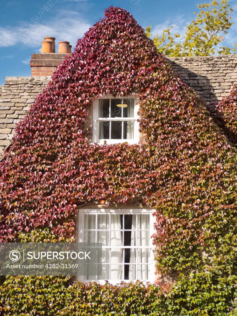 England, Oxfordshire, Oxford. An ivy covered house in Autumn in Oxford.