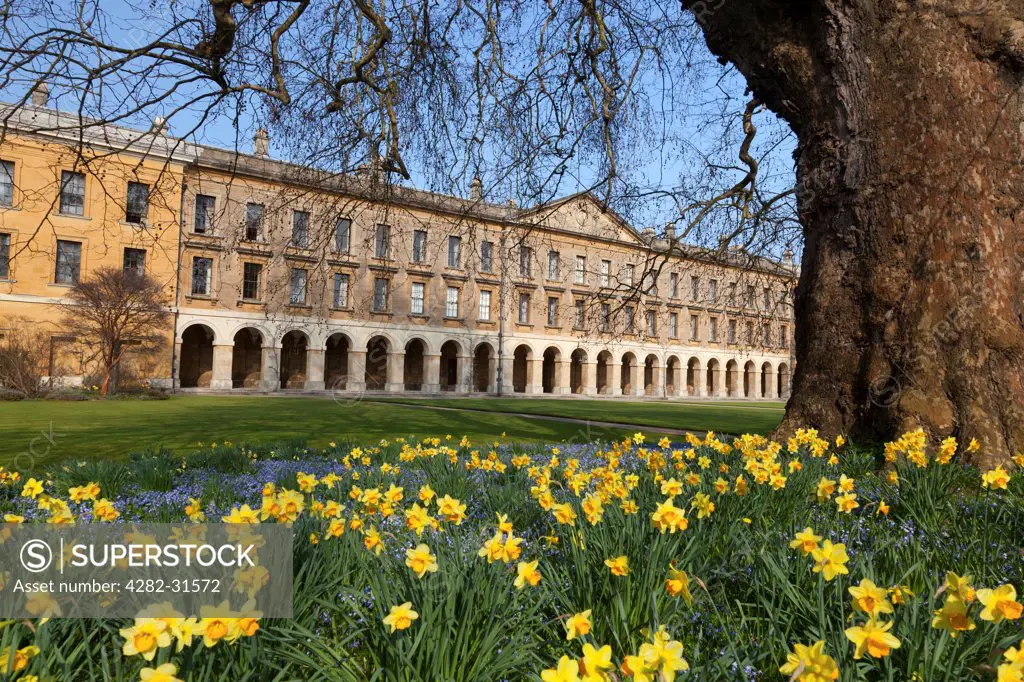 England, Oxfordshire, Oxford. A view toward the New Building of Magdalen College in Oxford at springtime.