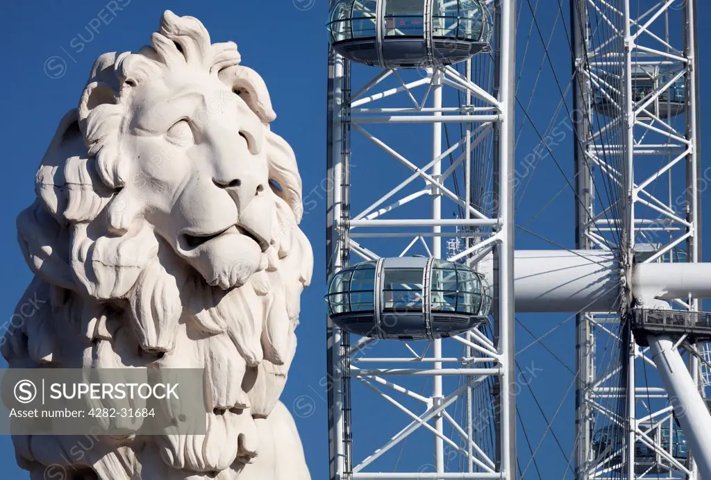England, London, South Bank. Coade stone lion at the end of Westminster Bridge with London Eye in the background.