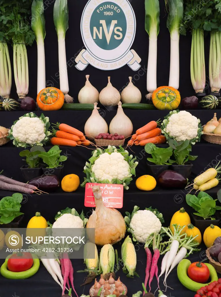 England, Worcestershire, Malvern. First prize in the vegetables display category at Malvern autumn show.