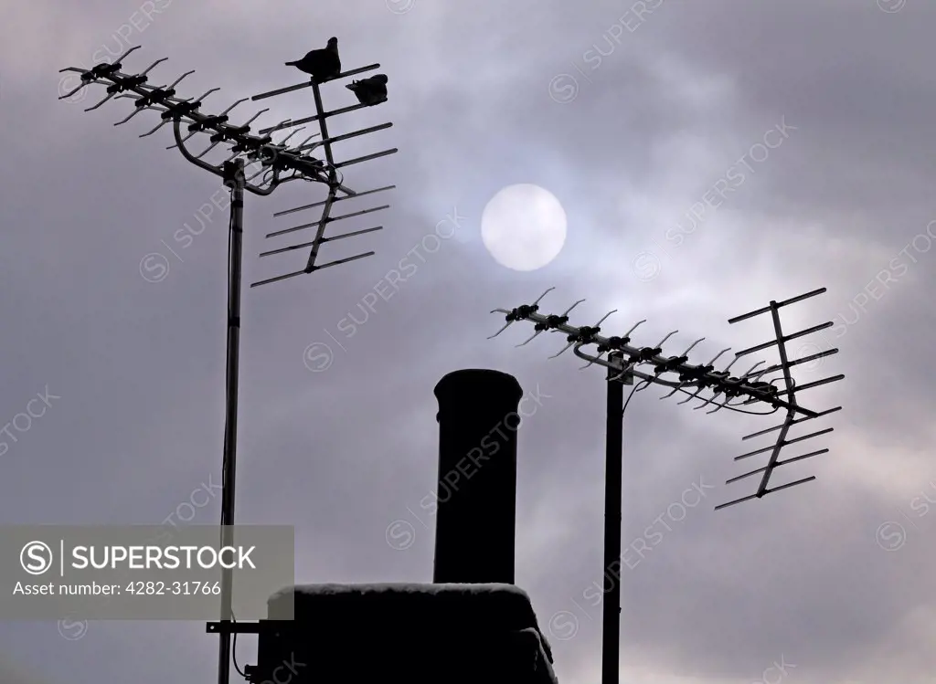 England, Oxfordshire, Radley. Television aerials silhouetted against winter skies in Radley village in Oxfordshire.