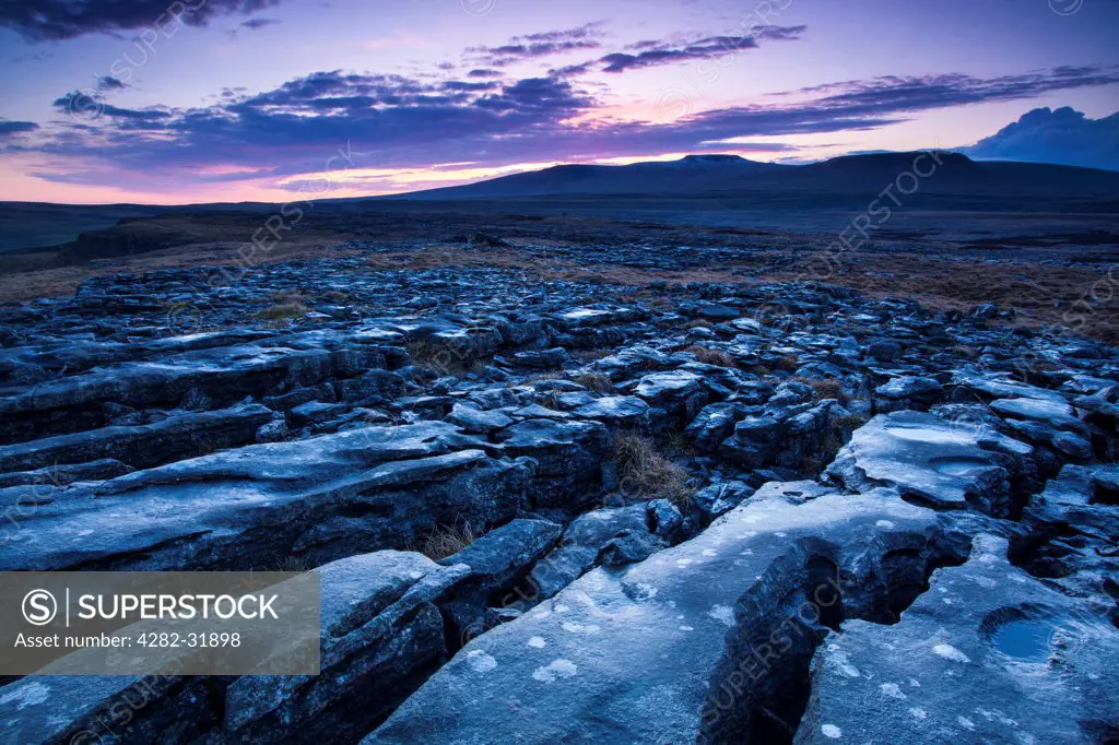 England, North Yorkshire, Yorkshire Dales National Park. Limestone pavement known as Moughton Scars near Horton.