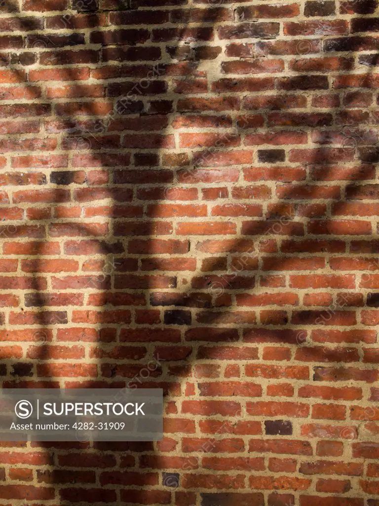 England, Tyne and Wear, Gibside Estate. Shadow of a tree on the bricks of  the walled garden.