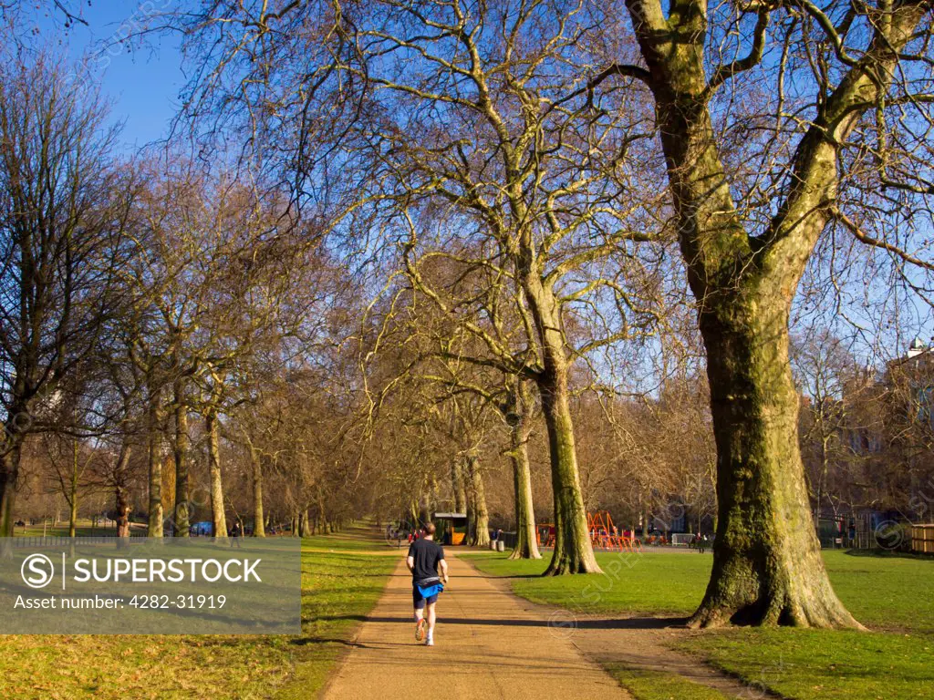 England, London, Hyde Park. Jogger exercising in Hyde Park.