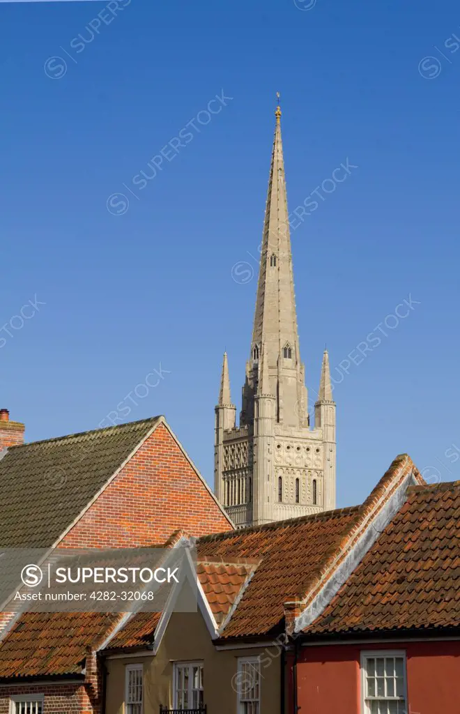 England, Norfolk, Norwich City. The spire of Norwich Cathedral soars above rooftops of houses.