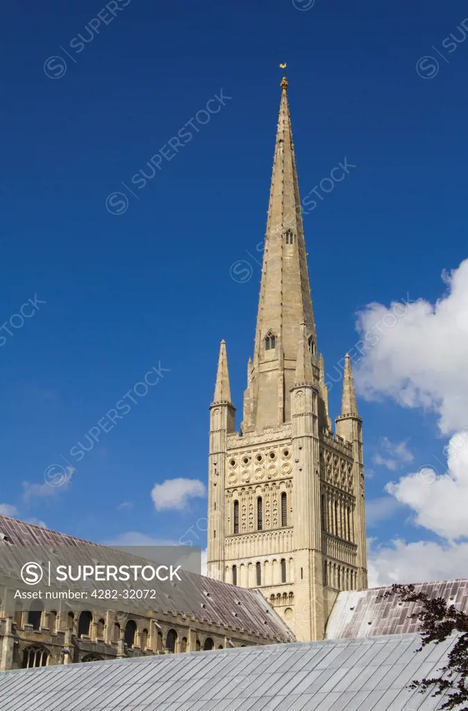 England, Norfolk, Norwich. Norwich Cathedral and its tall spire.