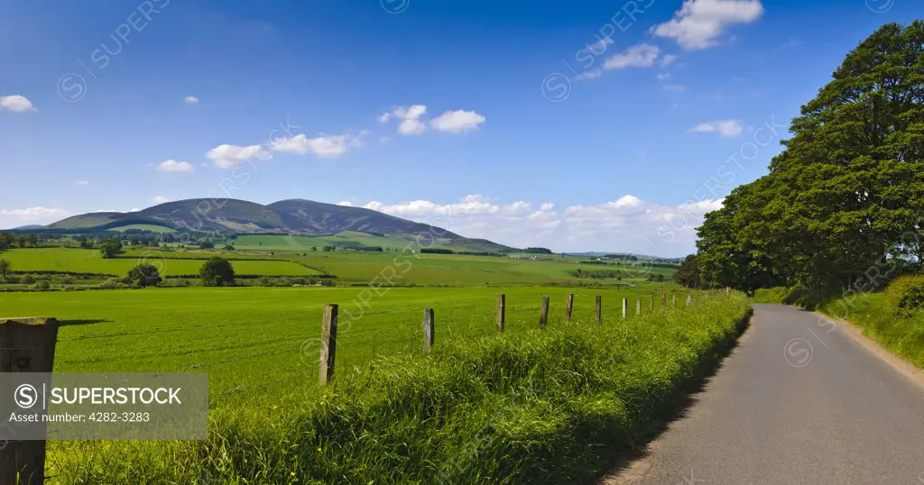 Scotland, South Lanarkshire, near Thankerton. Summer view along a country road towards Tinto Hill in South Lanarkshire.