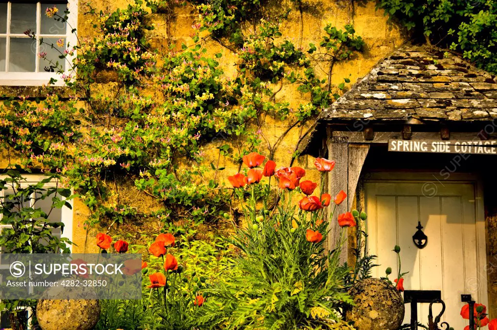 England, Gloucestershire, Evenlode. Frontage of a typical Cotswold cottage in Evenlode.
