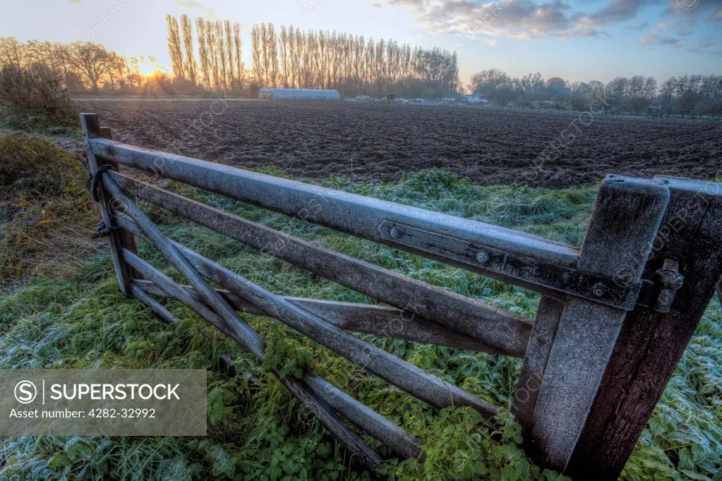 England, Cambridgeshire, Wisbech. Sunrise behind a frost covered gate.