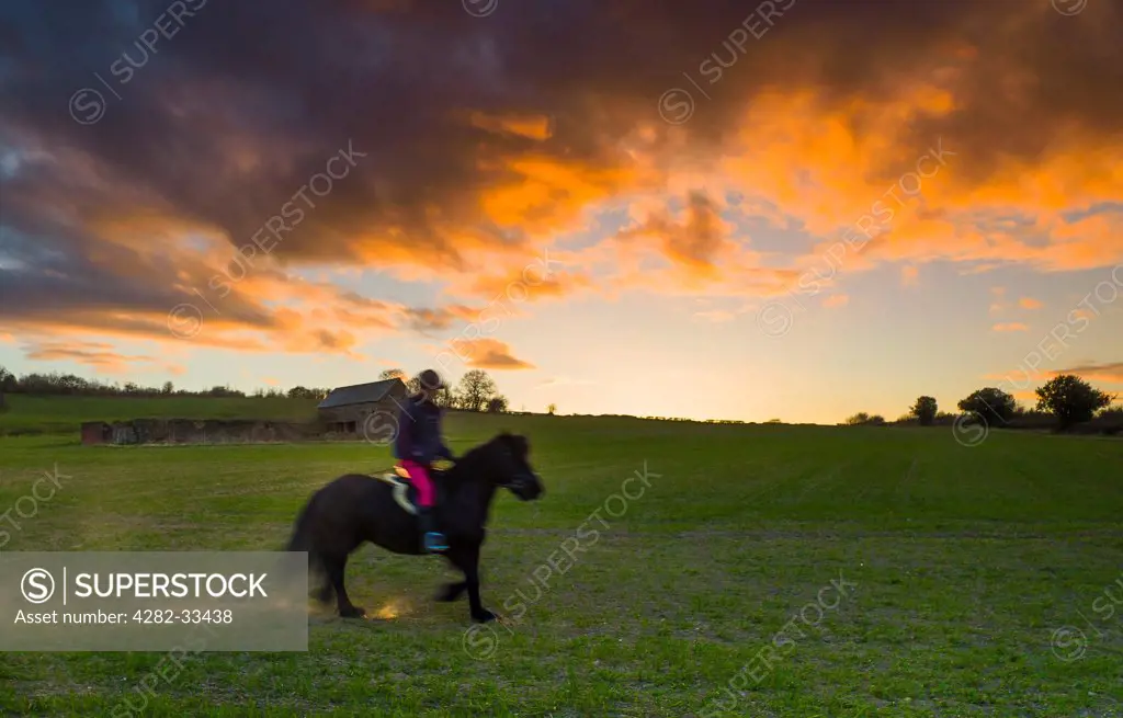 England, Leicestershire, Smisby. A horsewoman makes the most of a fine evening to ride out.