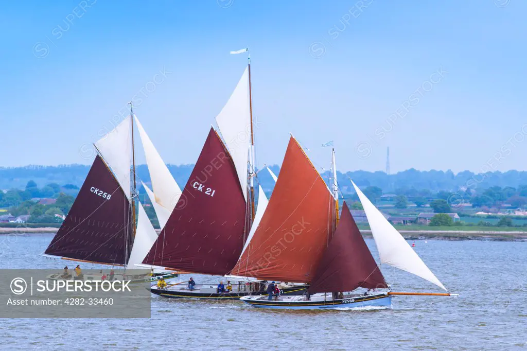 England, Essex, St. Lawrence. Three gaff rigged Smacks racing on the river Blackwater.