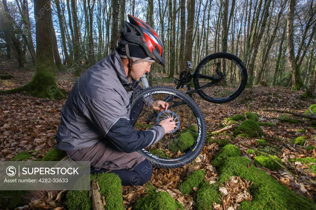 Wales, Monmouthshire, Monmouth. Trailside mountain bike repair.