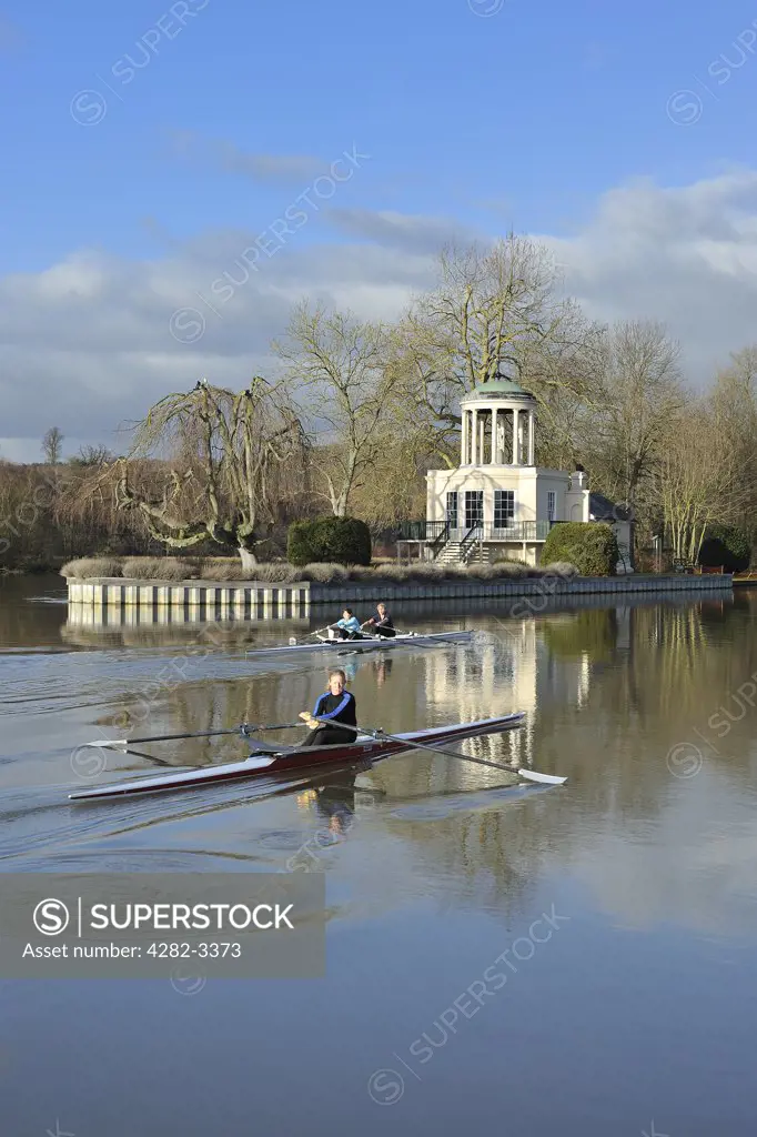 England, Berkshire, Remenham. Rowers sculling past Temple Island, the start point of the Henley Royal Regatta course.