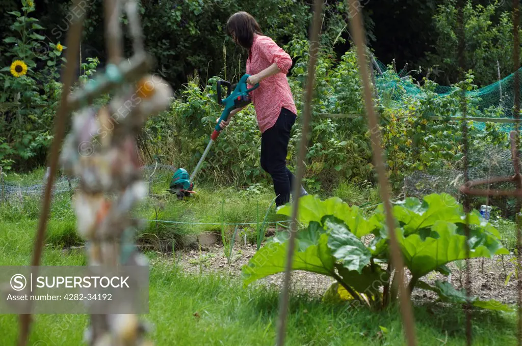 England, East Sussex, Brighton. A woman gardening on her allotment.