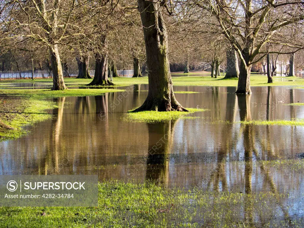 England, Oxfordshire, Oxford. The flooded Thames spills over onto Christ Church College Meadows in Oxford.