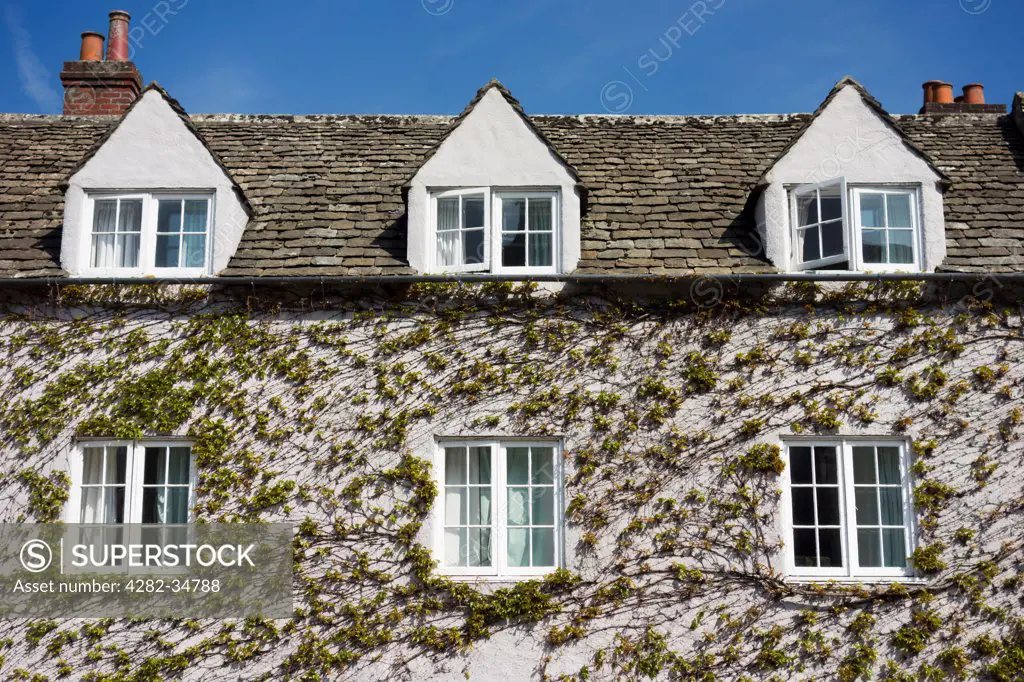 England, Oxfordshire, Oxford. An ivy covered house in Broad Street in Oxford.