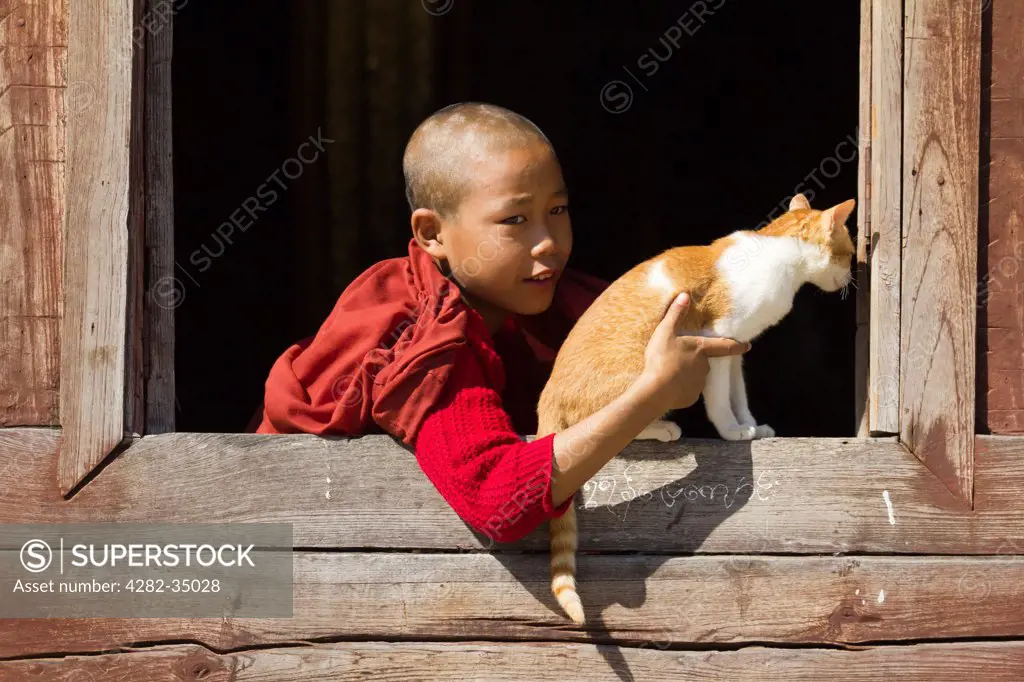 Myanmar, Shan, Lake Inle. A young monk playing with a cat in Shwe Yaunghwe Kyaung Monastery near to Lake Inle in Myanmar.