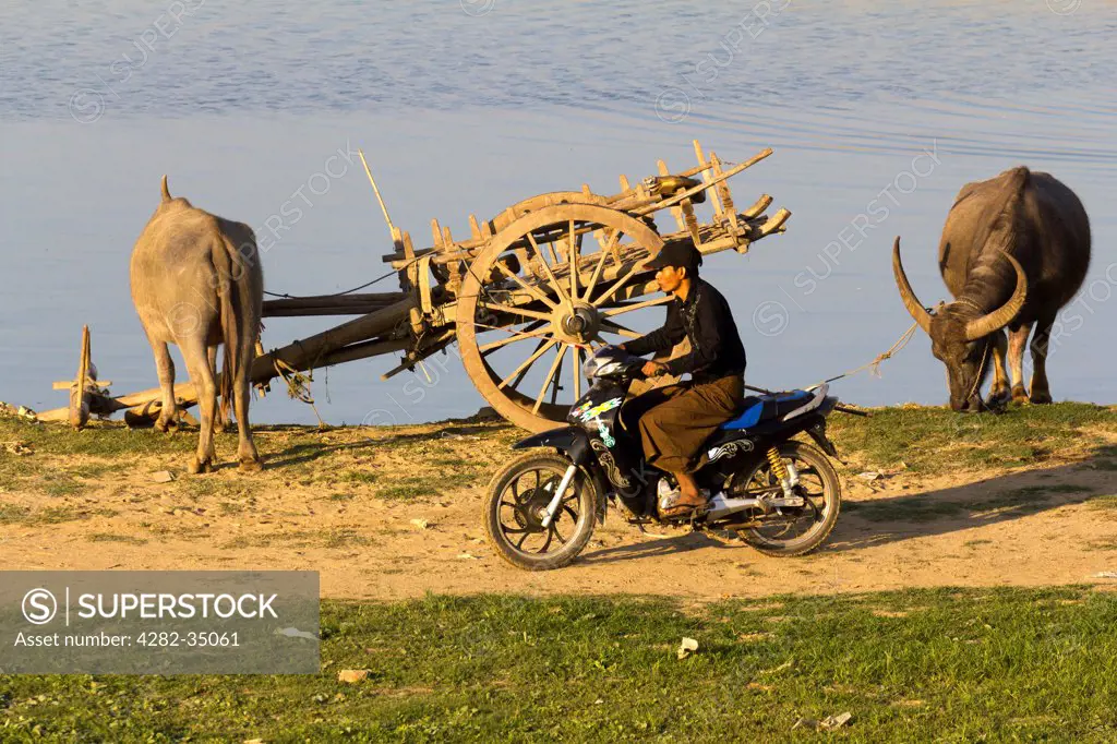 Myanmar, Mandalay, Lake Taungthaman. Old and new with bullock cart and motor bike by the shore of Taungthaman Lake in Myanmar.