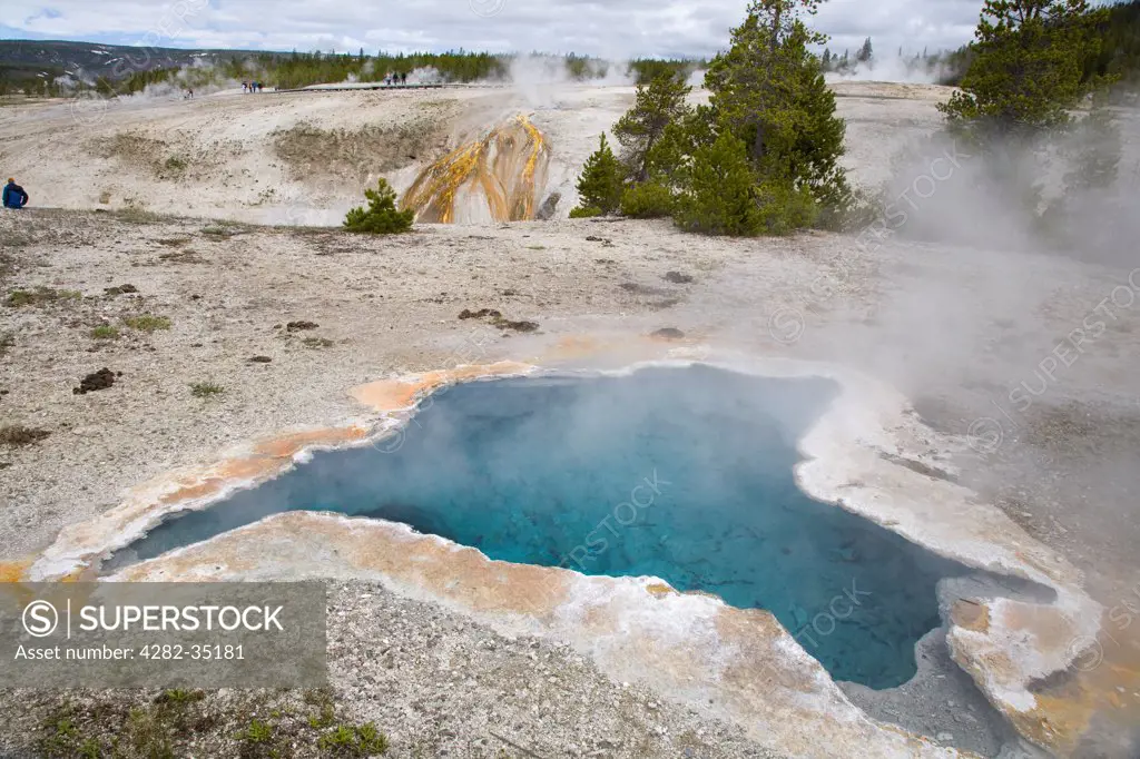 USA, Wyoming, Yellowstone National Park. The Blue Star Spring in the Upper Basin of Yellowstone National Park.