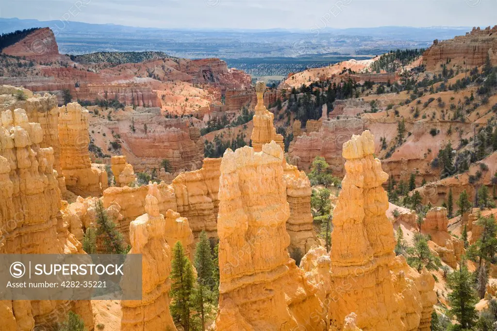 USA, Utah, Bryce Canyon. A view of the Bryce Canyon from Fairyland Point.