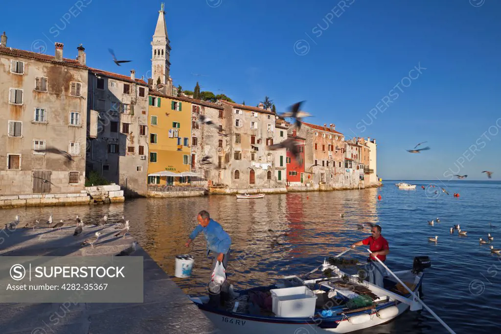 Croatia, Istria, Rovinj. Fishermen unloading morning catch at the historic town waterfront at Rovinj.