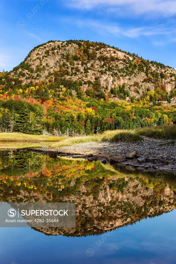 USA, Maine, Acadia National Park. Beehive mountain reflected in a salt pond at Sand Beach in Acadia National Park.