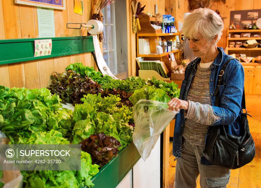USA, Massachusetts, Marthas Vineyard. A senior woman shopping for vegetables at a farm shop.