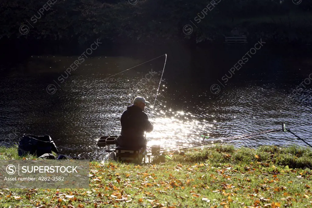 England, Shropshire, Shrewsbury. A man fishing the River Severn in the Quarry Park. The park itself holds the Shrewsbury Flower Show and the Shrewsbury Summer Season every year, which includes open air plays, concerts and comedy.