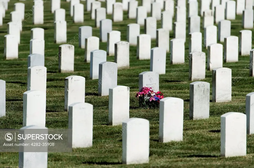 USA, Virginia, Arlington. Flowers on grave at Arlington Cemetery.