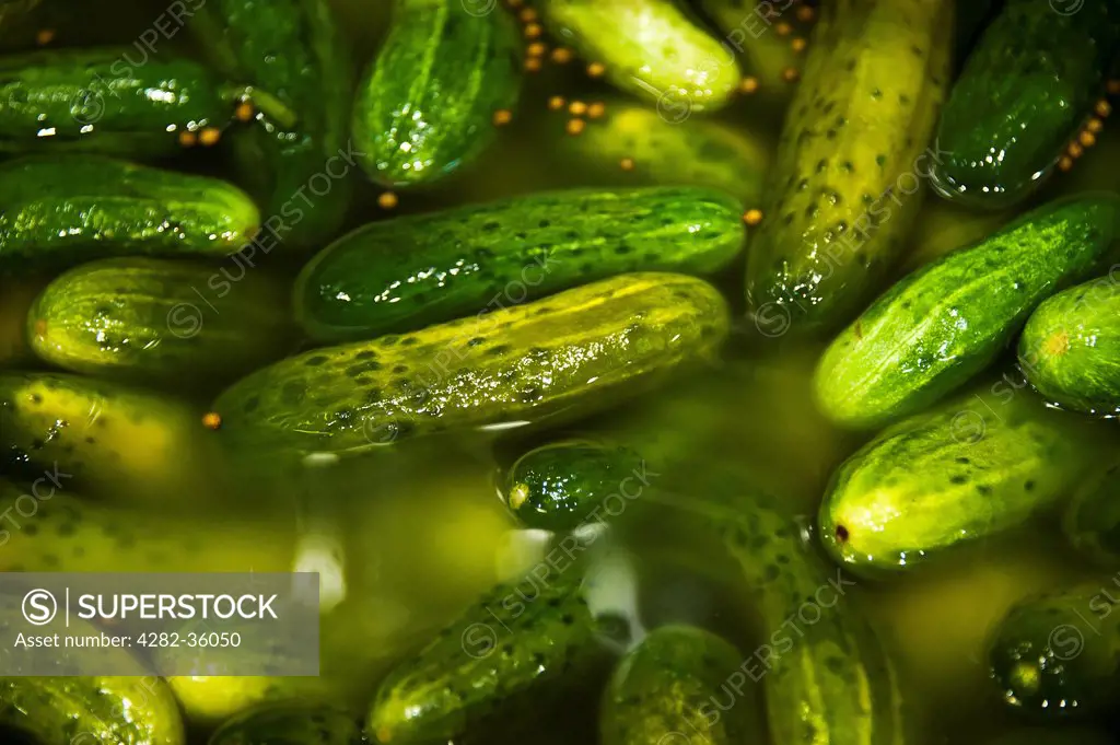 USA, Pennsylvania, Philadelphia. A barrel of pickles.