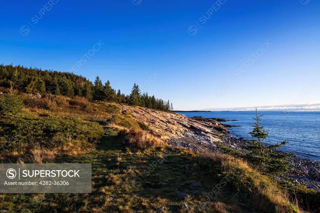 USA, Maine, Acadia National Park. A coastal landscape on the Schoodic Peninsula of Acadia National Park.