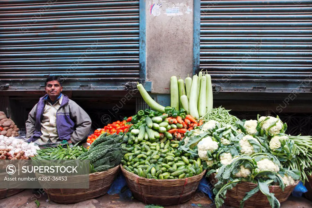 Nepal, Kathmandu, Kathmandu Metropolitan City. A vegetable seller with his crop.