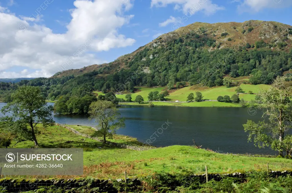 England, Cumbria, Loughrigg Terrace. Looking across Rydal Water to Nab Scar from Loughrigg Terrace in summer.