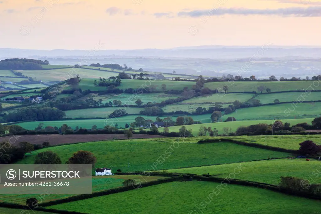 England, Dorset, Pilson Pen. Early morning views across west Dorset from Pilson Pen hill fort which is the highest point in Dorset.