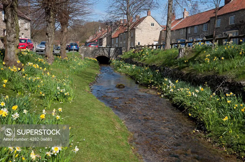 England, North Yorkshire, Helmsley. A view along a stream in Helmsley.
