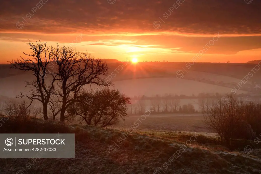 England, Dorset, Stourpaine. Sunrise over Hod Hill in Dorset.