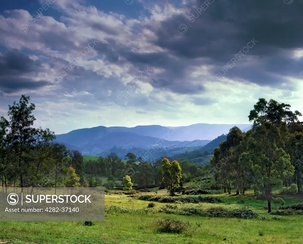 Australia, New South Wales, Megalong Valley. A view across the Megalong Valley looking towards the Blue Mountains in New South Wales.