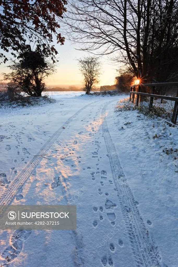 England, Norfolk, Norwich. Tire tracks and footprints in the snow on a snowy winter morning.