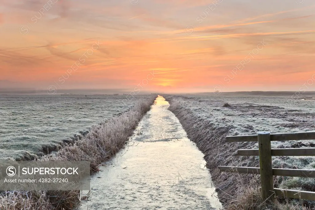 England, Suffolk, Herringfleet. A frozen dyke leads off into the distance on a misty morning at sunrise.