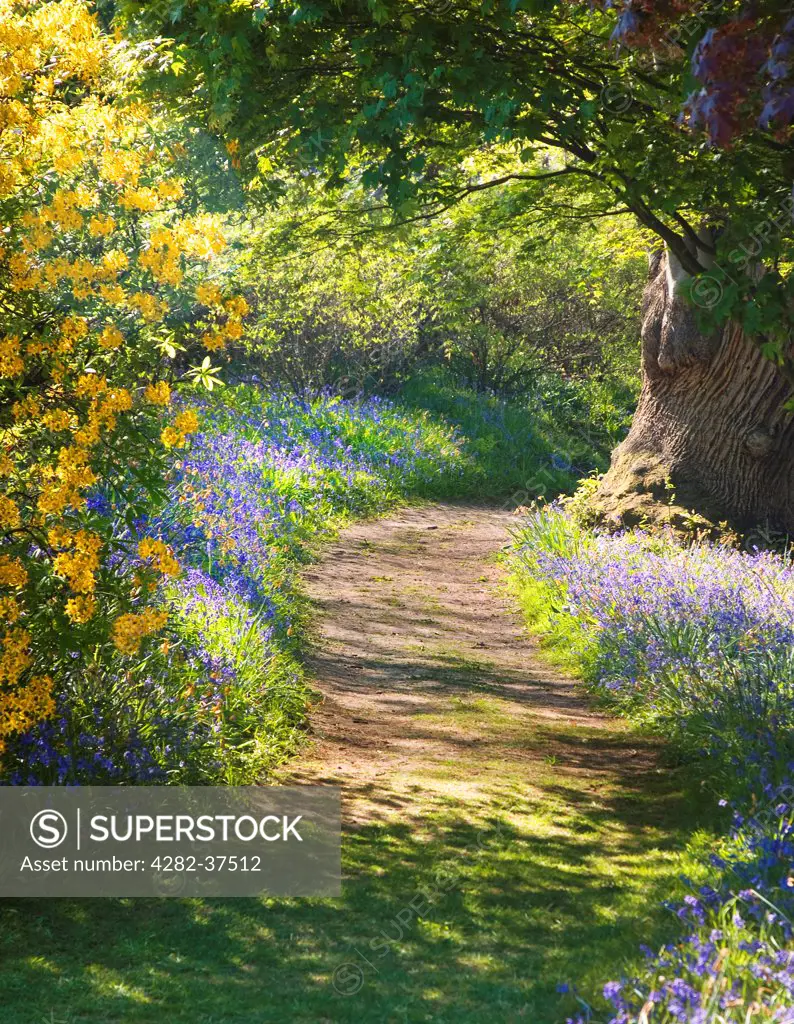 England, West Sussex, Petworth. A tunnel of flowers beckoning us to explore.