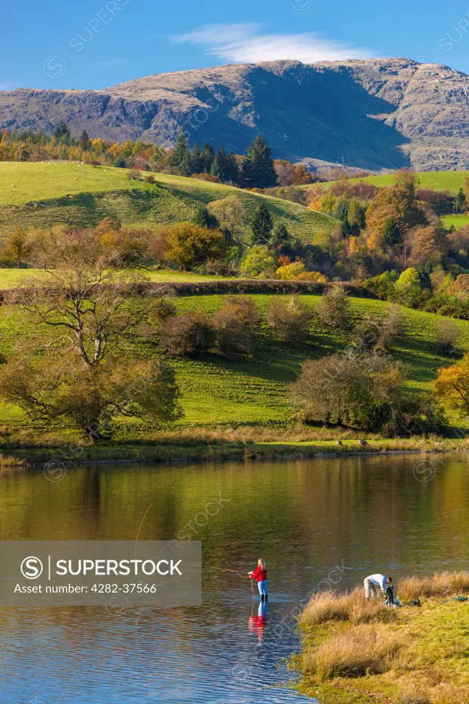 England, Cumbria, Claife. Woman fly fishes in Esthwaite Water in the Lake District National Park.