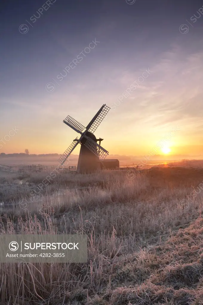 England, Suffolk, Herringfleet Windmill. Hoar frosted reeds and morning mist at Herringfleet Windmill.
