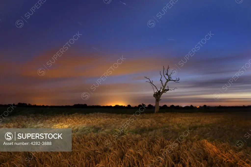 England, Norfolk, Thurne. Painting with light at night in the Norfolk countryside.