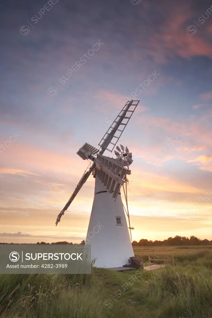 England, Norfolk, Thurne. Thurne windmill at sunrise on the Norfolk Broads.